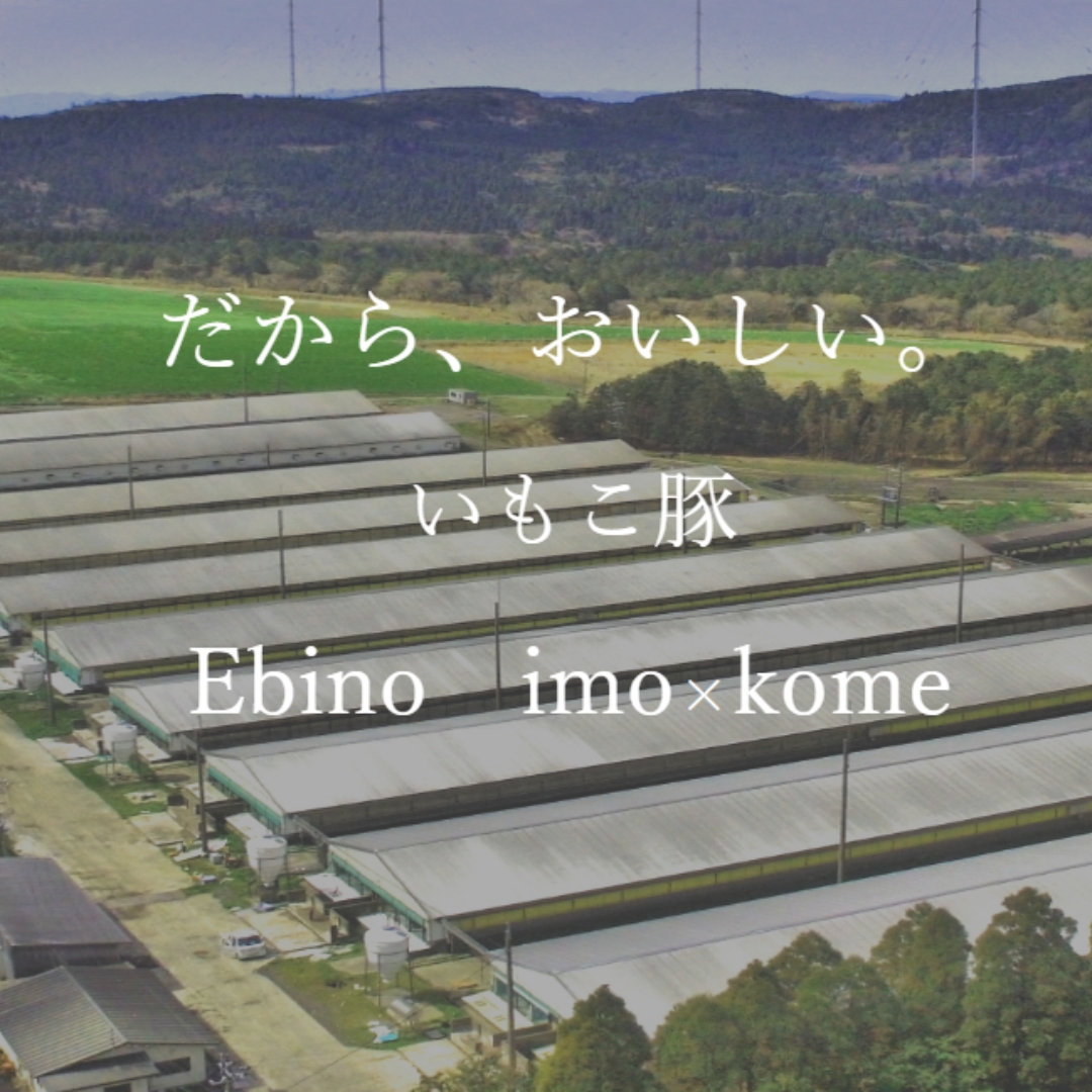 ミートショップe-porkえびの