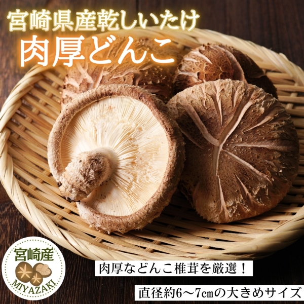 宮崎県産原木栽培乾しいたけ肉厚どんこ200g(100g×2）