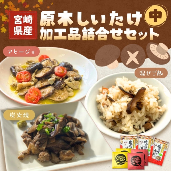 宮崎県産原木しいたけ加工品詰合せセット（中）