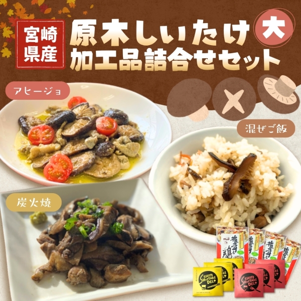 宮崎産原木乾しいたけ加工品詰合せセット（大）