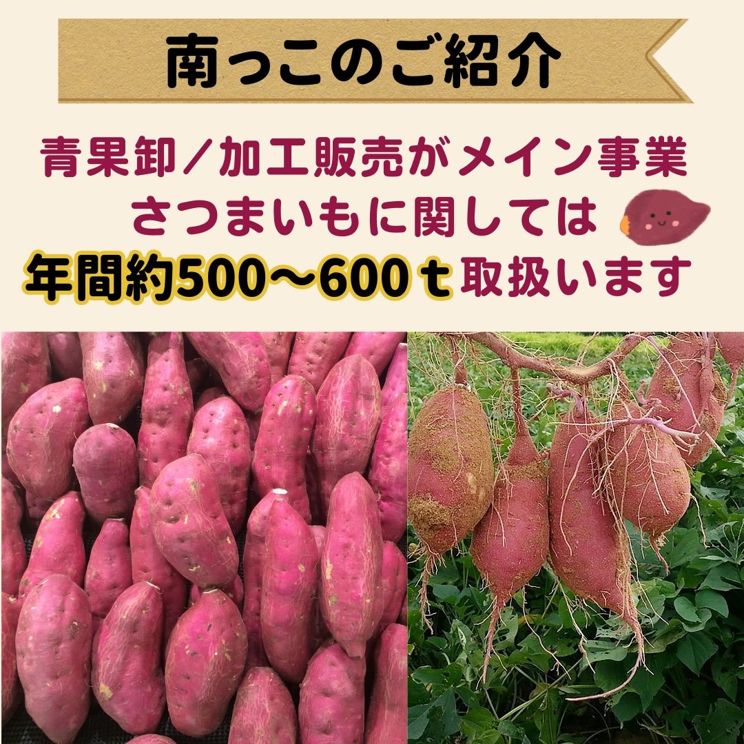 鹿児島県産紅はるか(熟成) 南っこ 鹿児島県産紅はるか(熟成) 南っこ
