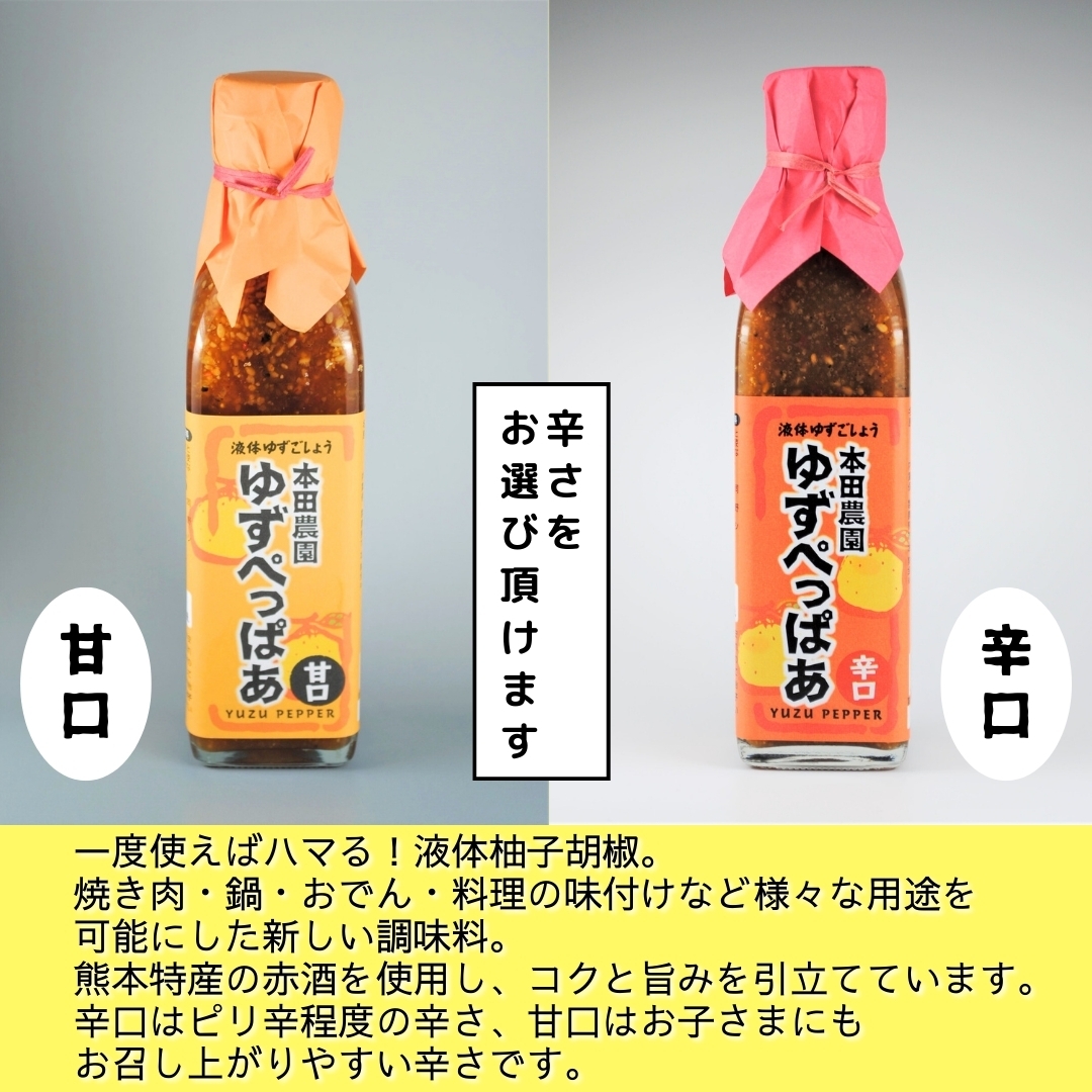 かける柚子3本セット 本田農園