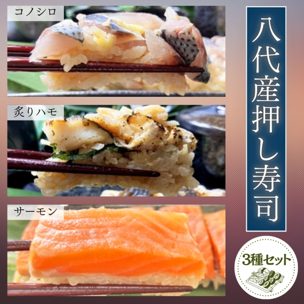 熊本県八代産 押し寿司3種セット