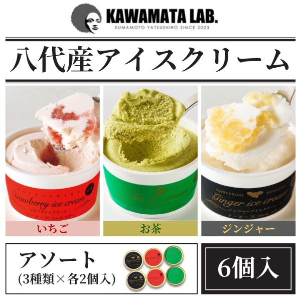 熊本県八代産アイスクリームアソート(3種類×各2個入)