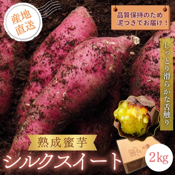 【熟成蜜芋】シルクスイート 2㎏