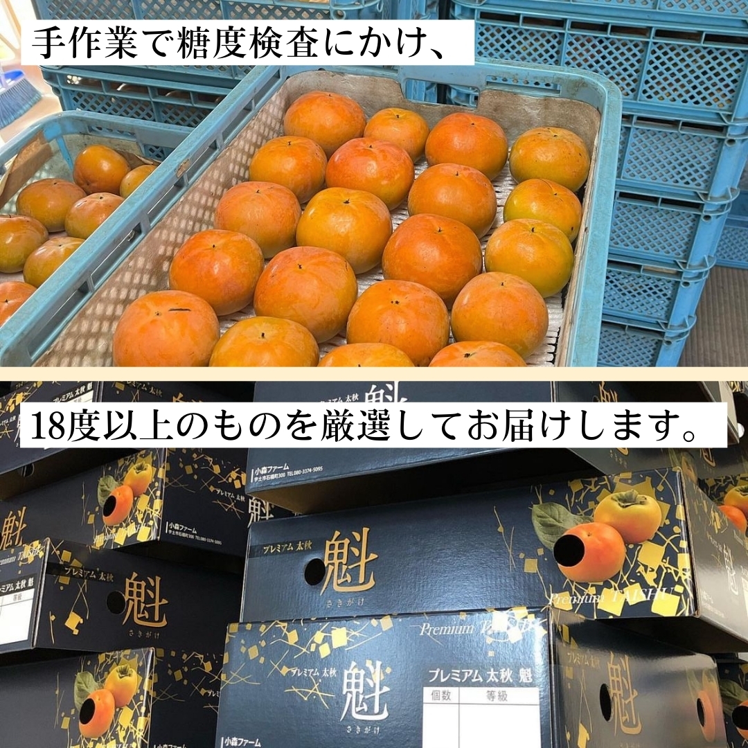 特選2kg化粧箱》【熊本県産】プレミアム太秋柿「魁」 小森ファーム