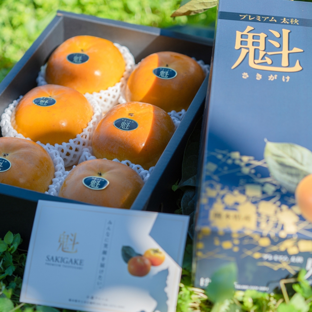 特選2kg化粧箱》【熊本県産】プレミアム太秋柿「魁」 小森ファーム
