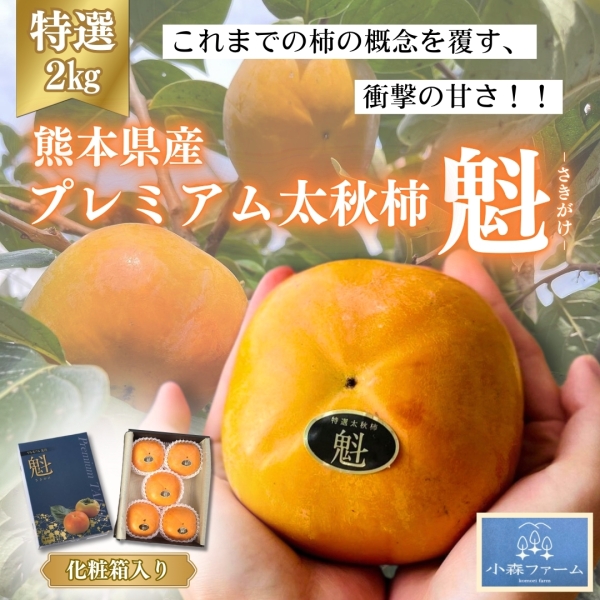 《特選2kg化粧箱》【熊本県産】プレミアム太秋柿「魁」