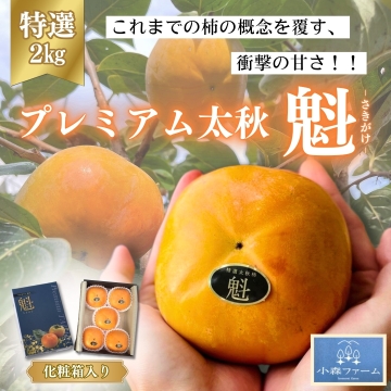 特選2kg化粧箱》【熊本県産】プレミアム太秋柿「魁」 小森ファーム