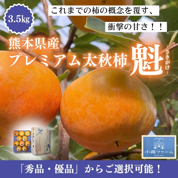 《秀品・優品から選べる3.5㎏》【熊本県産】プレミアム太秋柿「魁」