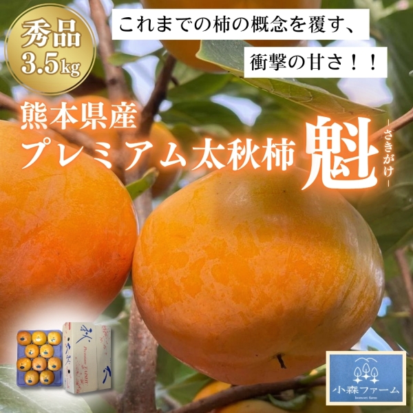 《秀品3.5㎏》【熊本県産】プレミアム太秋柿「魁」