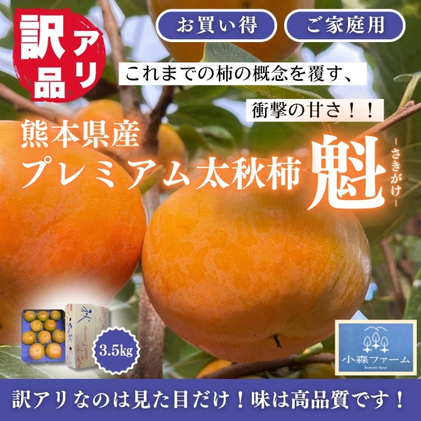 《お得な訳アリ品3.5㎏》【熊本県産】プレミアム太秋柿「魁」