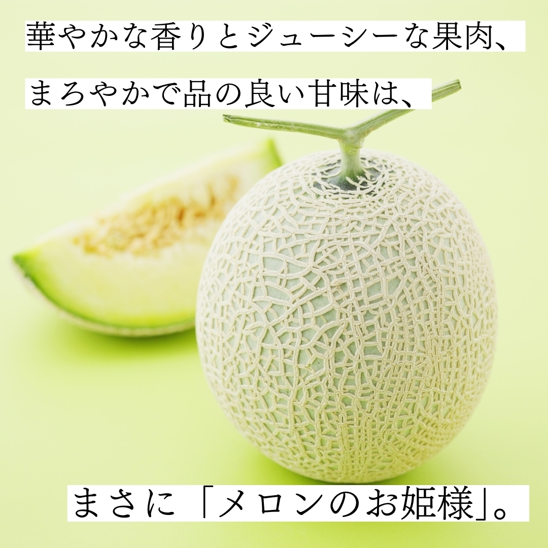熊本県産プレミアムメロン「まいひめおじさんのメロン」1玉 小森