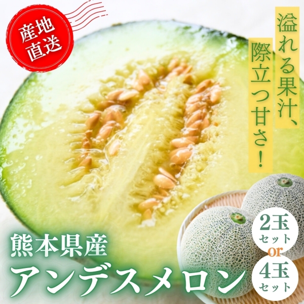 【熊本県産】アンデスメロン■