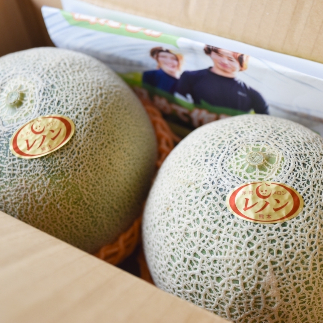 熊本県産】レノンメロン□ 河野FARM