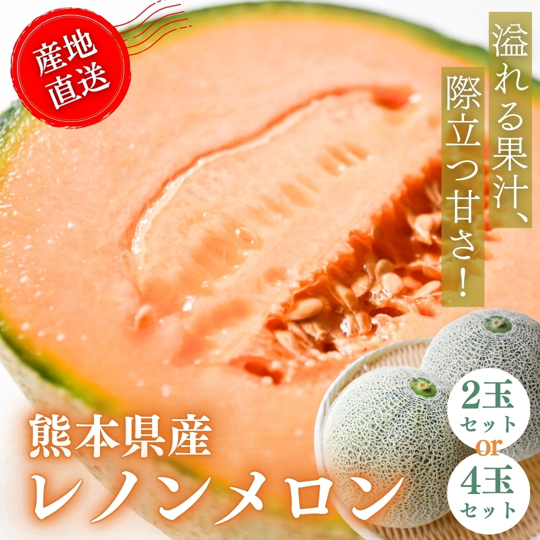 熊本県産】レノンメロン□ 河野FARM