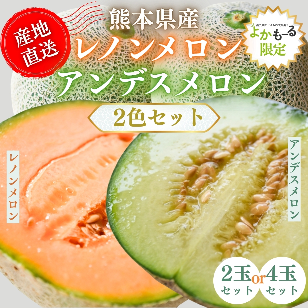 【熊本県産】メロン2色セット■