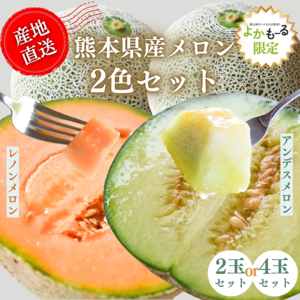 【熊本県産】メロン2色セット
