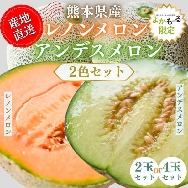 【熊本県産】メロン2色セット■