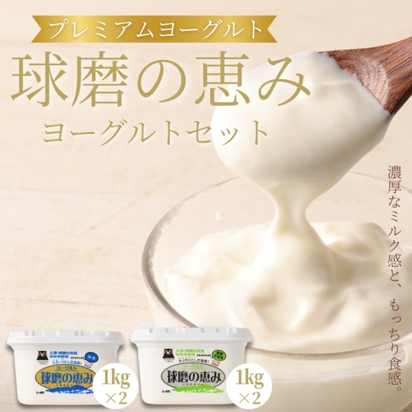 球磨の恵みヨーグルトセット