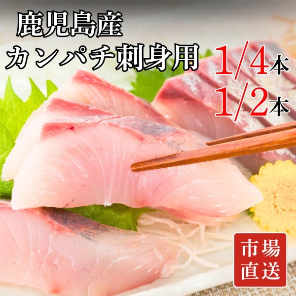 【冷蔵】カンパチ刺身用 （1/4本：3～4人前、1/2本：6～8人前）