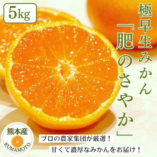 熊本県産極早生みかん「肥のさやか」5㎏