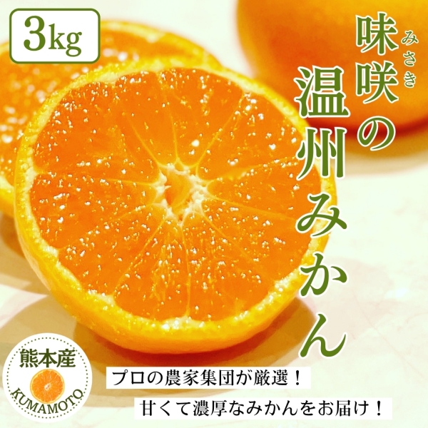 熊本県産 味咲の温州みかん 3kg