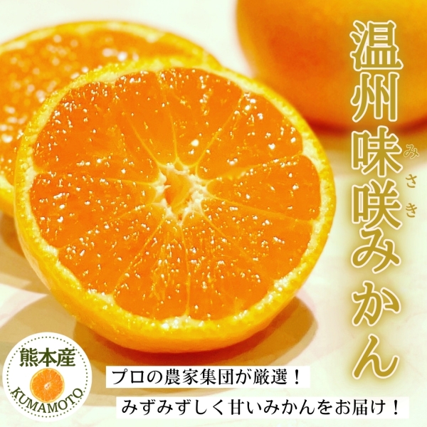 熊本県産 温州味咲みかん