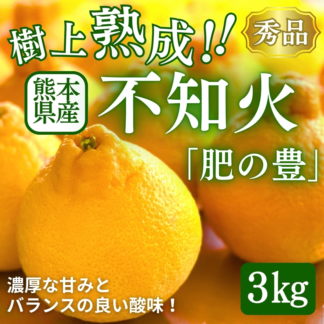 ＼樹上熟成！／熊本県産不知火「肥の豊」3㎏