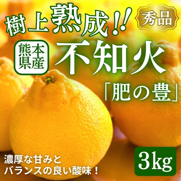＼樹上熟成！／熊本県産不知火「肥の豊」3㎏
