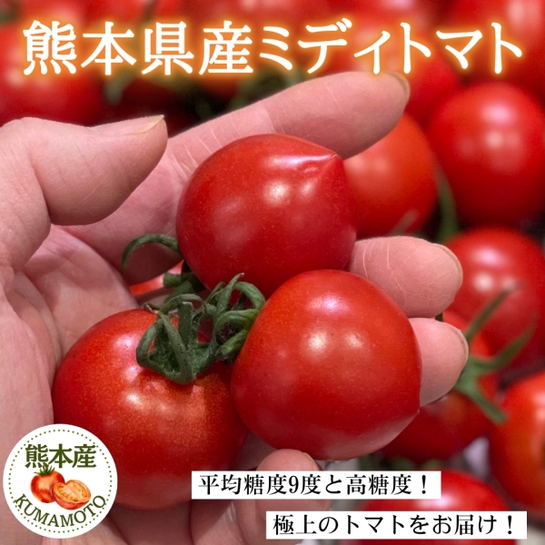 熊本県産ミディトマト