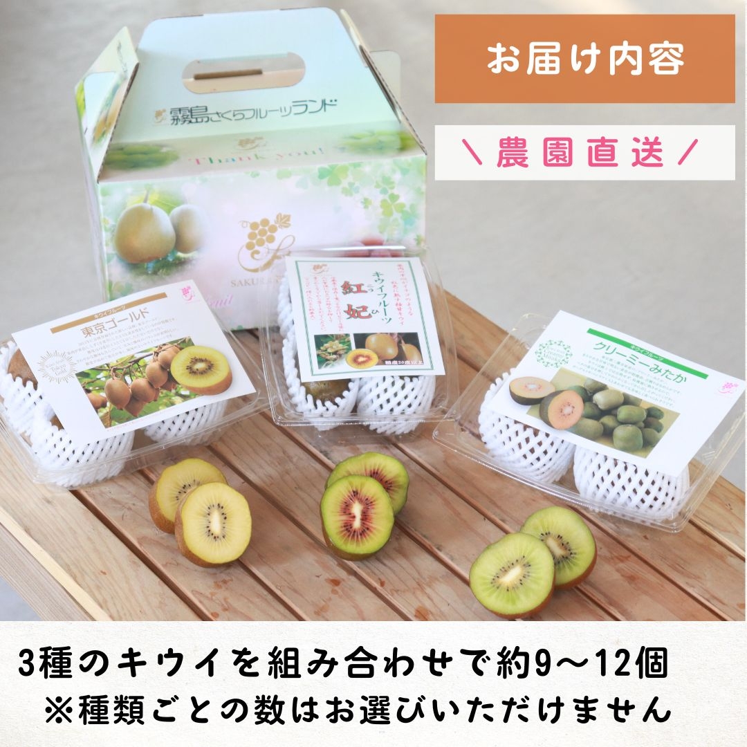 ぱるみん様・お得意様ご予約分キュウイフルーツ20Kg キウイフルーツ 家庭用