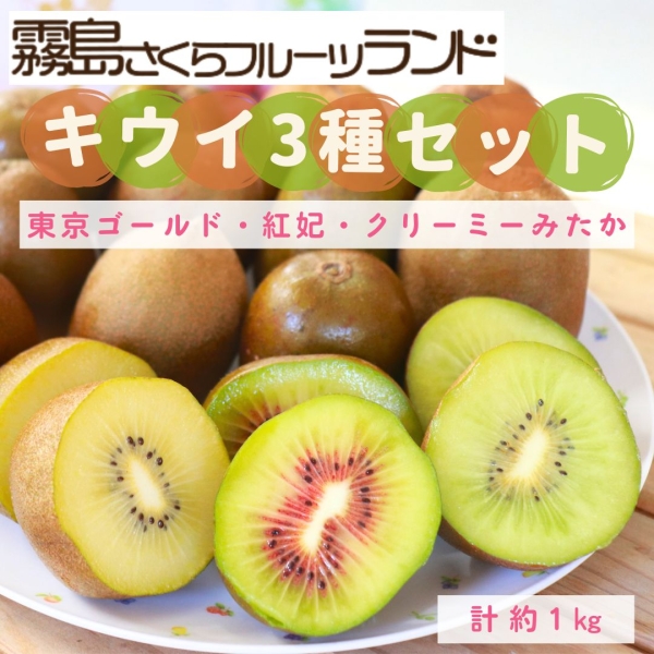 【鹿児島県産】キウイ3種セット（東京ゴールド・紅妃・クリーミーみたか）