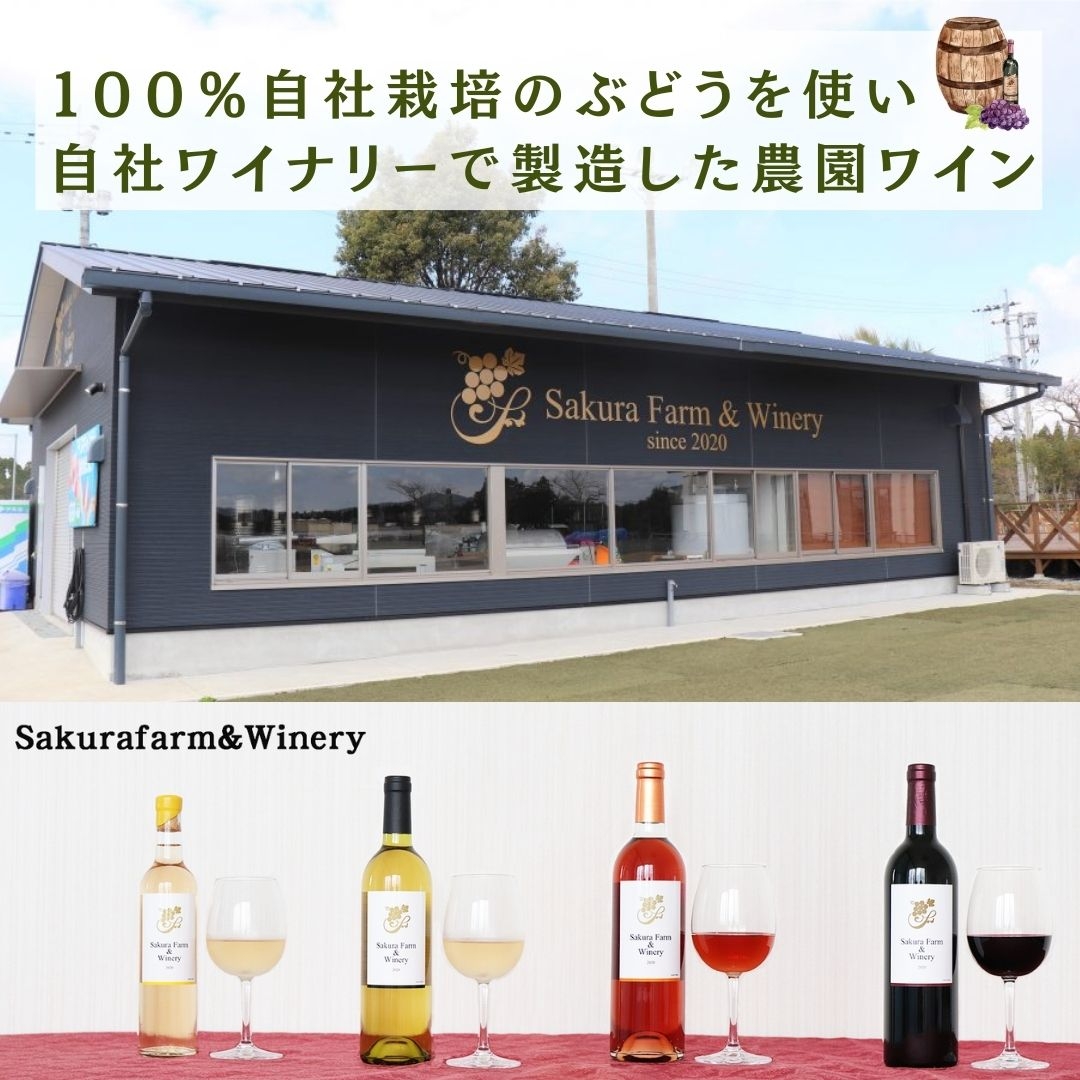 農園ワイン】赤・白ワインセット（メルロ・アレキサンドリア） 霧島