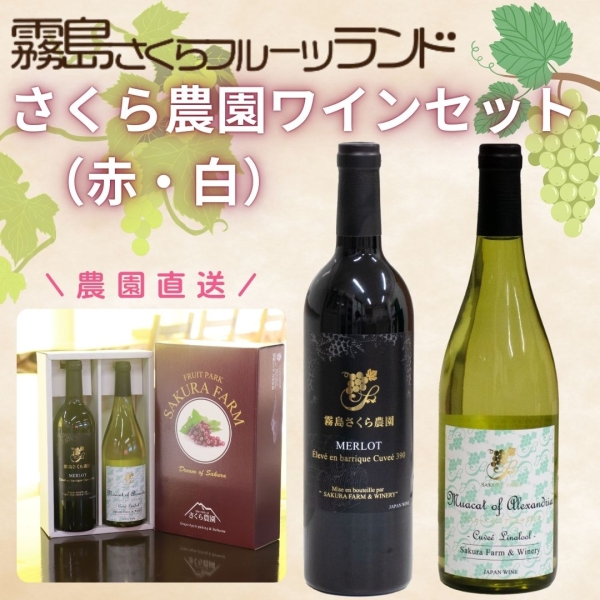 【農園ワイン】赤・白ワインセット（メルロ・アレキサンドリア）