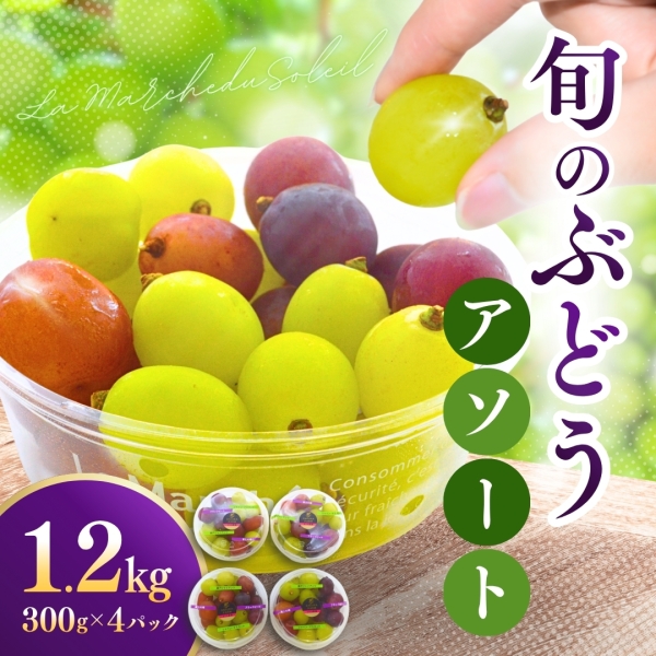 【鹿児島県産】旬のぶどうアソート 300g×4パック 合計1.2kg