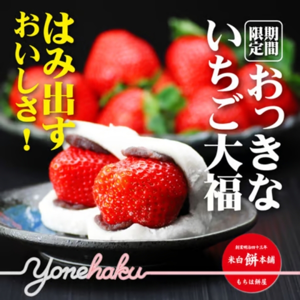 【熊本県産ゆうべに使用】おっきないちご大福 6個/8個