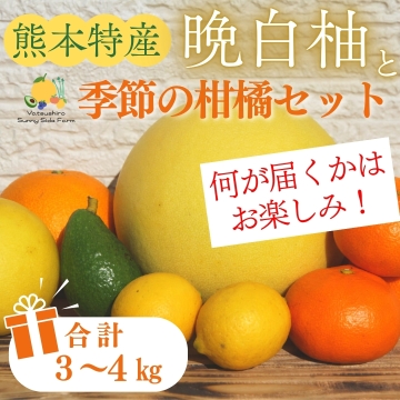熊本県産】晩白柚と季節の柑橘セット やつしろサニーサイドファーム
