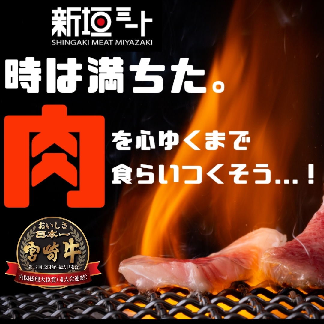 新垣ミート