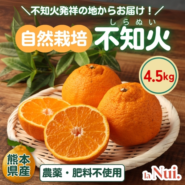 【熊本県産】自然栽培 不知火4.5㎏