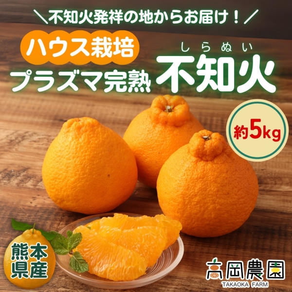 【熊本県産】ハウス栽培 プラズマ完熟 不知火5㎏