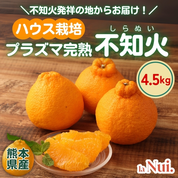 【熊本県産】ハウス栽培 プラズマ完熟 不知火4.5㎏