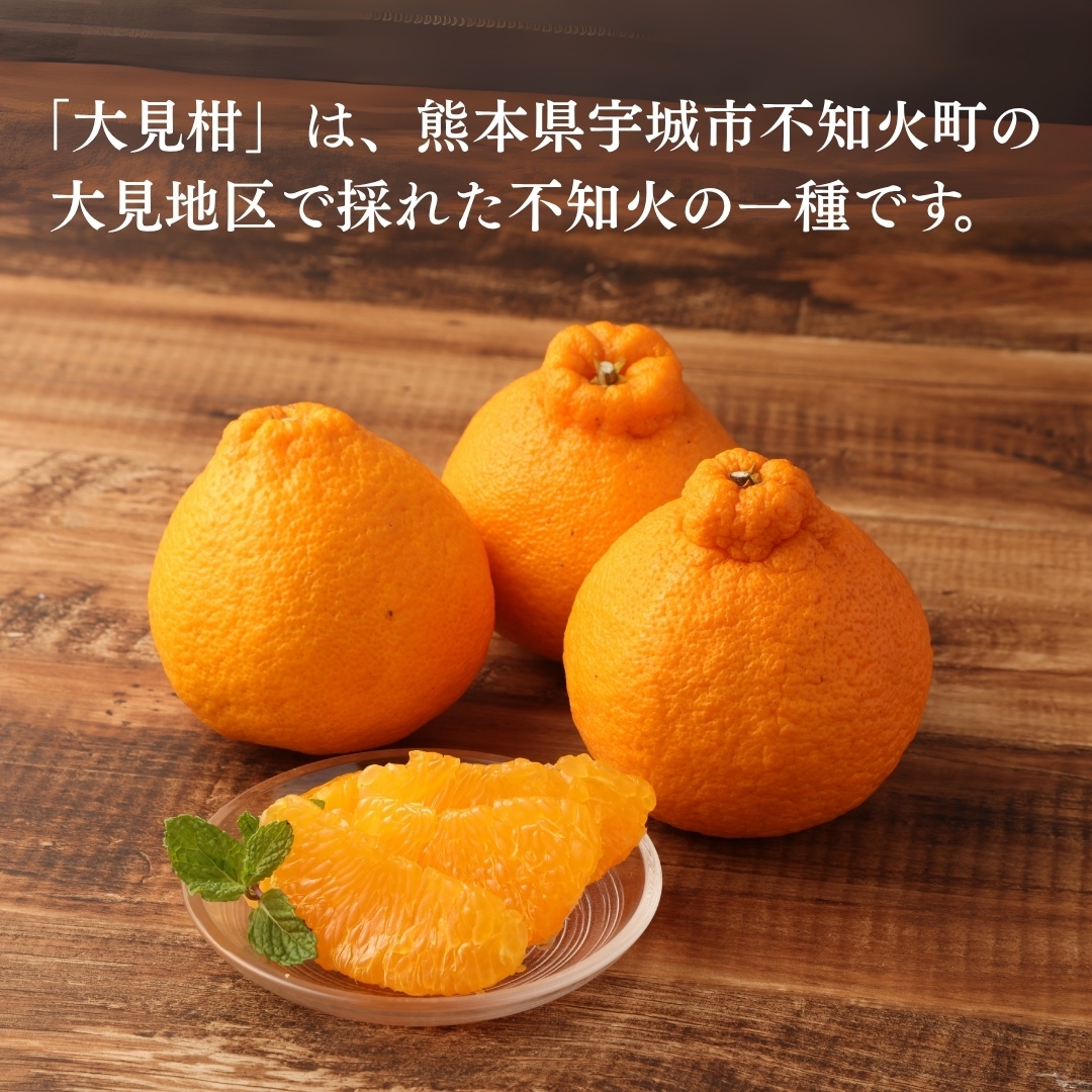 寶CRAFT 熊本大見柑チューハイ330ml✕3本 la Nui.