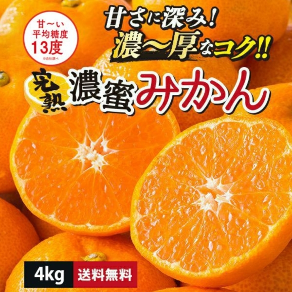 【送料無料】熊本県産 完熟濃蜜みかん 約4kg（25～70玉入り/2S～2Lサイズ/大小混合）