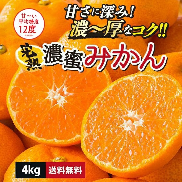 【送料無料】熊本県産 完熟濃蜜みかん 約4kg（30～50玉入り L～S）