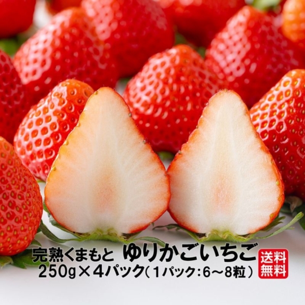 【送料無料】完熟くまもと ゆりかごいちご（250g×4パック/1パック：6～8粒）