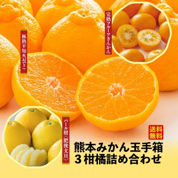 【送料無料】熊本みかん玉手箱 3柑橘詰め合わせ