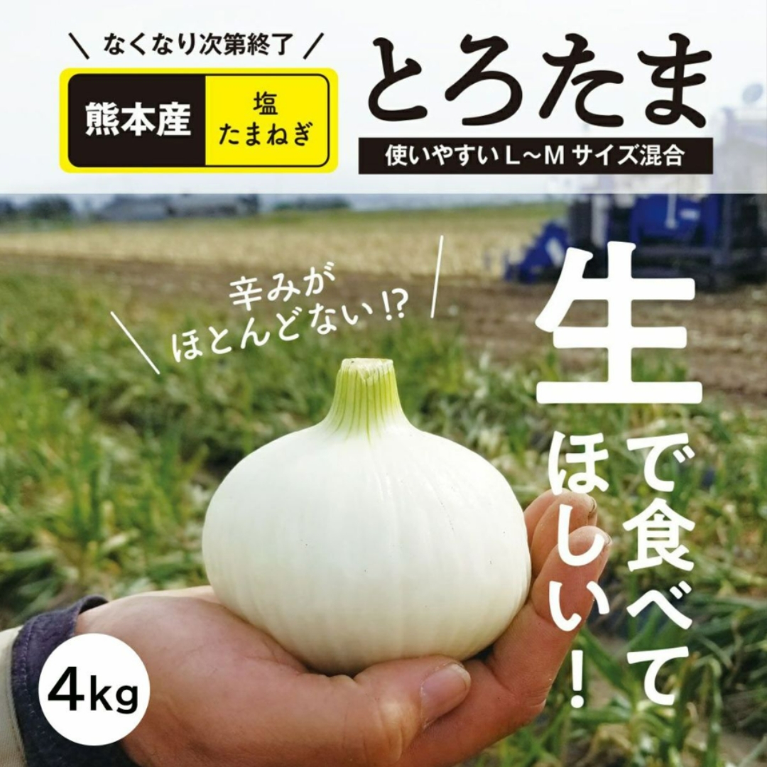 【送料無料】熊本県産 塩たまねぎ『とろたま』約4㎏(15玉前後)