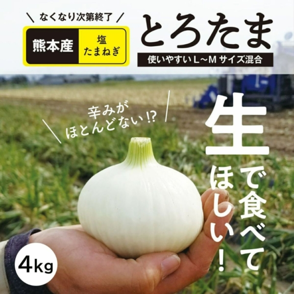 【送料無料】熊本県産 塩たまねぎ『とろたま』約4㎏(15玉前後)