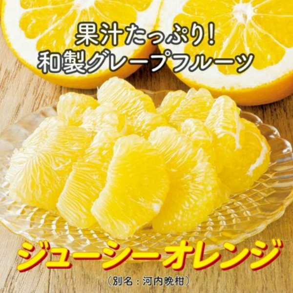 熊本県産ジューシーオレンジ（河内晩柑）約4㎏